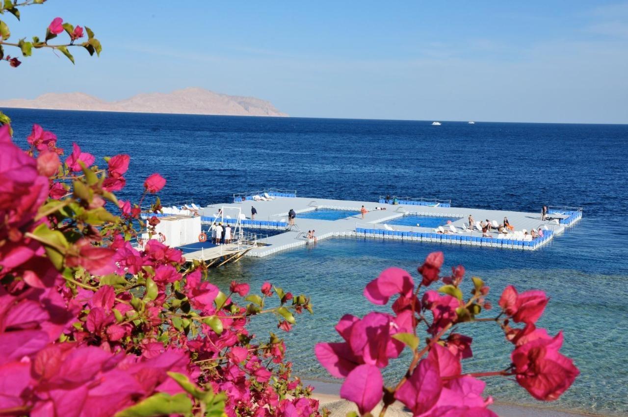 Private One Bedroom Domina Coral Bay Sharm el-Sheikh Exterior photo